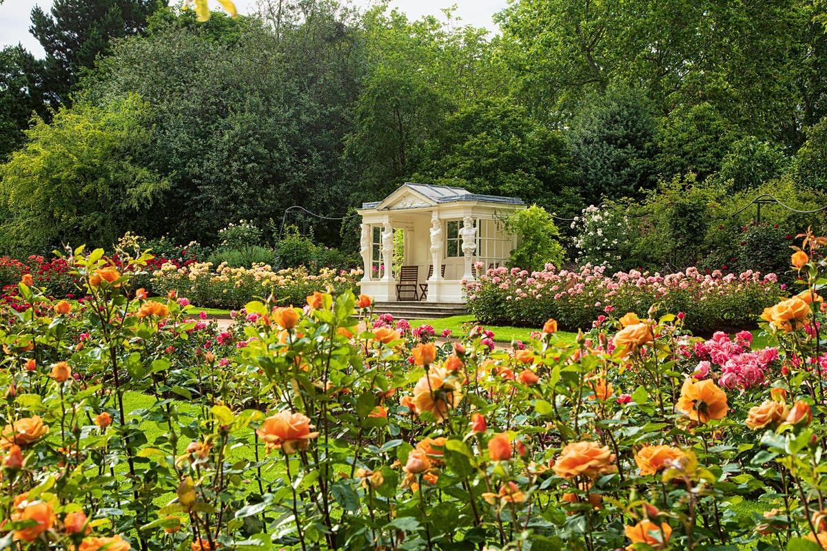 Buckingham palace royal gardens