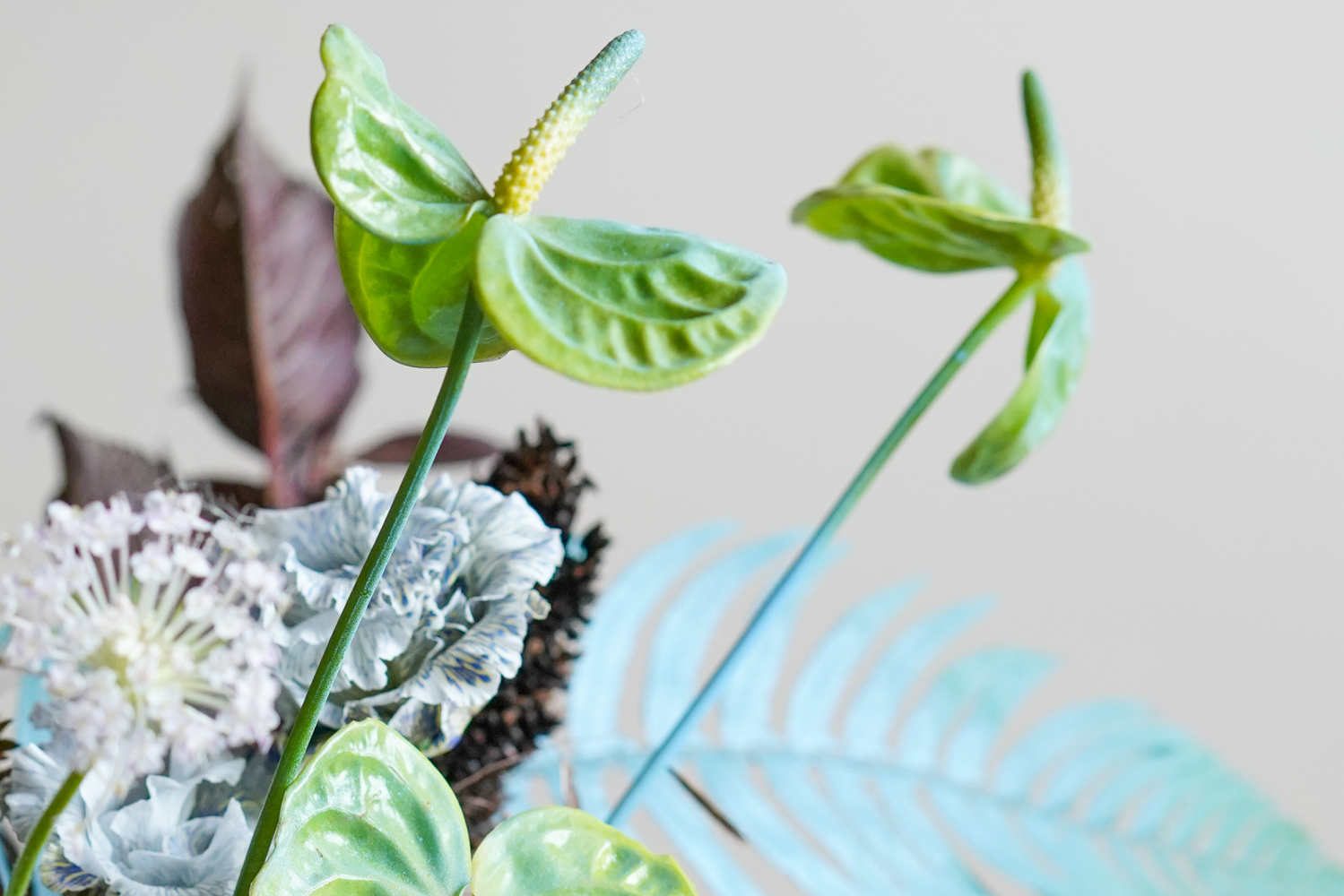 Anthuriums