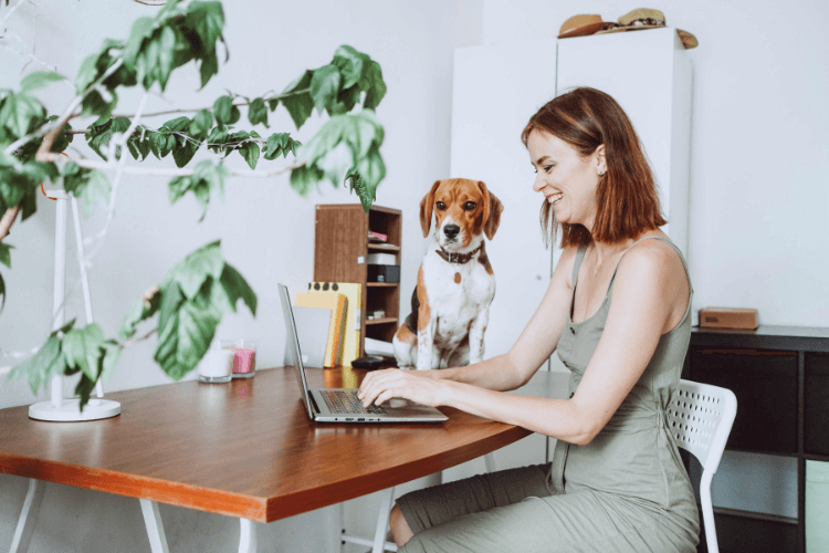How Can My Business Help Fight Climate Change in 2024?
