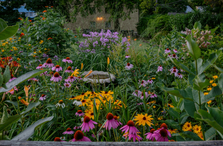 Garden environment