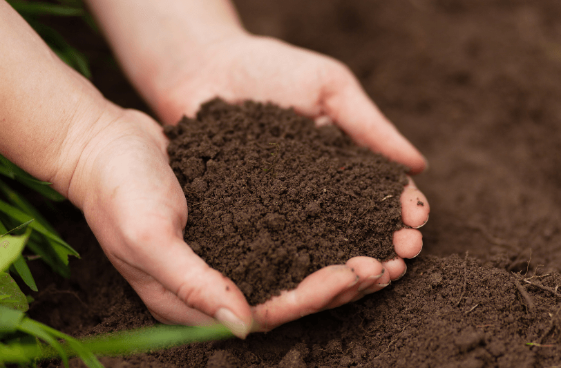 A pair of hands holding nutrient rich soil