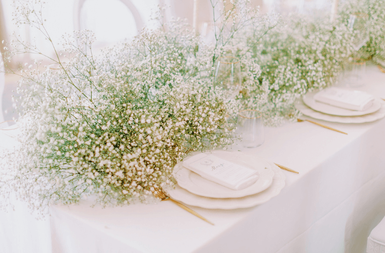 Gypsophila with a place setting on a table