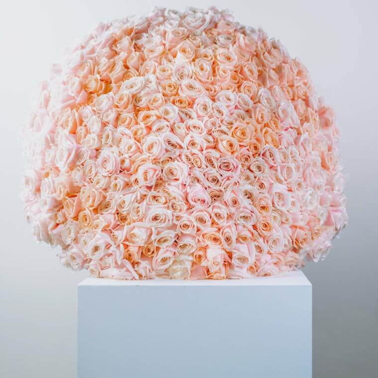 Valentine's day bouquet of 500 pink roses