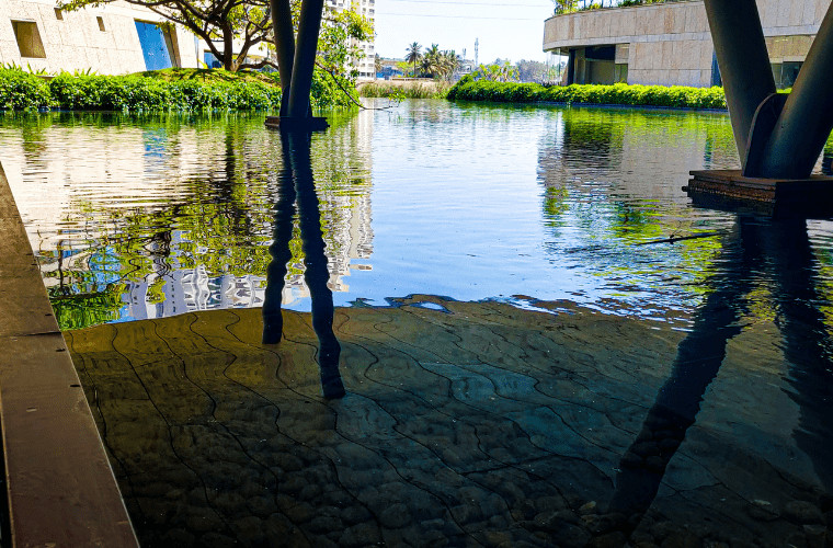 Biophilic design